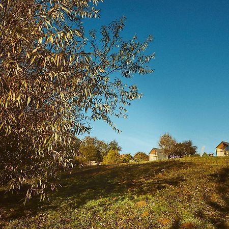 Scandinave Chalet Bran Zărneşti Dış mekan fotoğraf