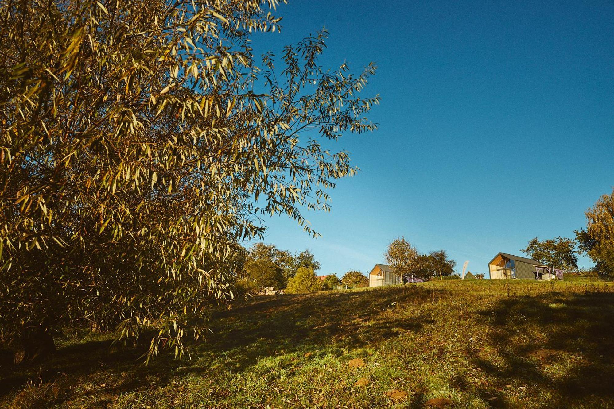Scandinave Chalet Bran Zărneşti Dış mekan fotoğraf
