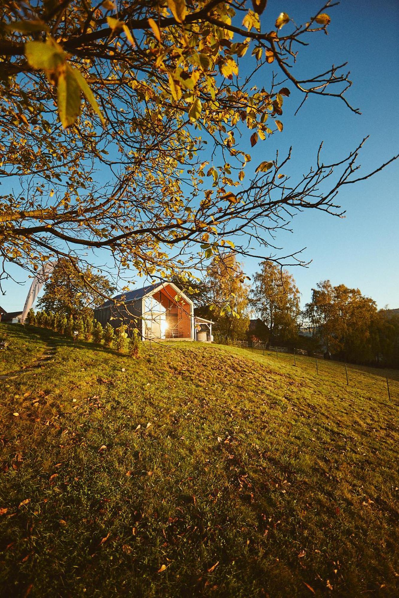 Scandinave Chalet Bran Zărneşti Dış mekan fotoğraf