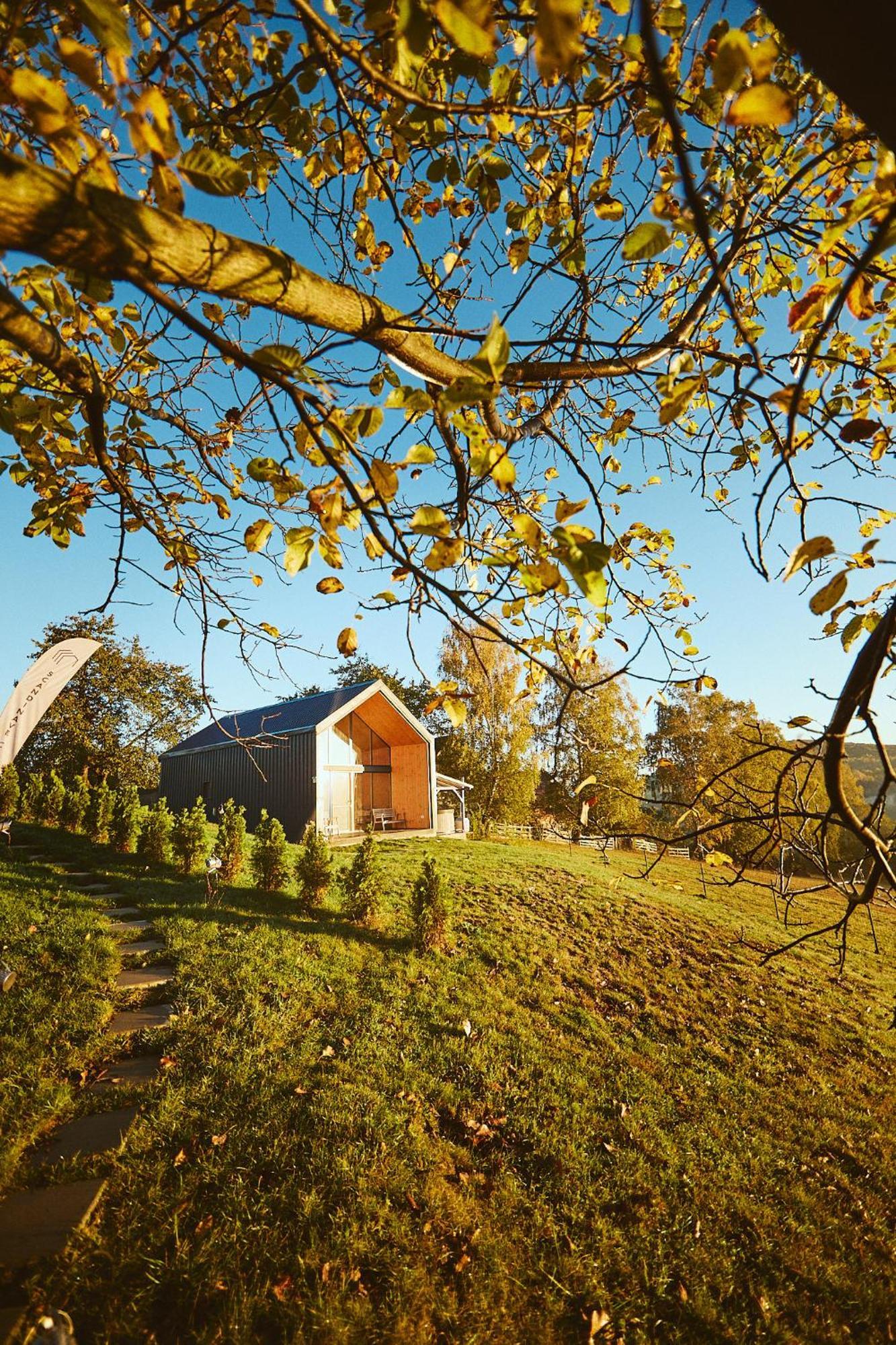 Scandinave Chalet Bran Zărneşti Dış mekan fotoğraf