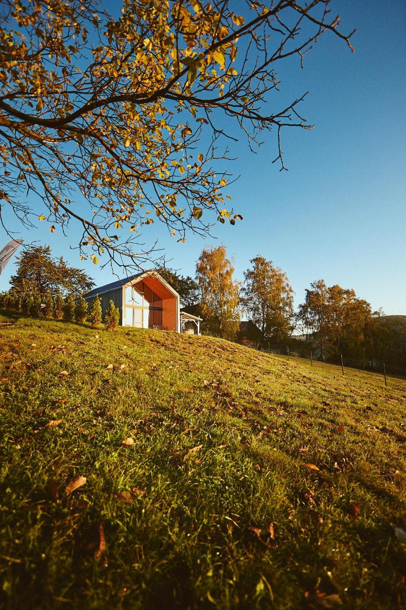Scandinave Chalet Bran Zărneşti Dış mekan fotoğraf