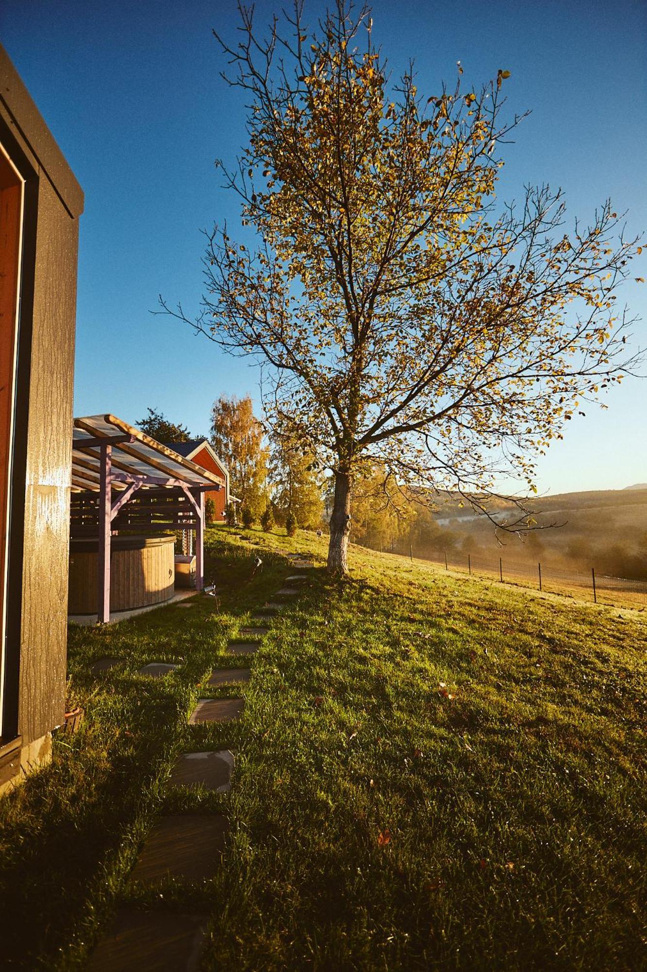 Scandinave Chalet Bran Zărneşti Dış mekan fotoğraf