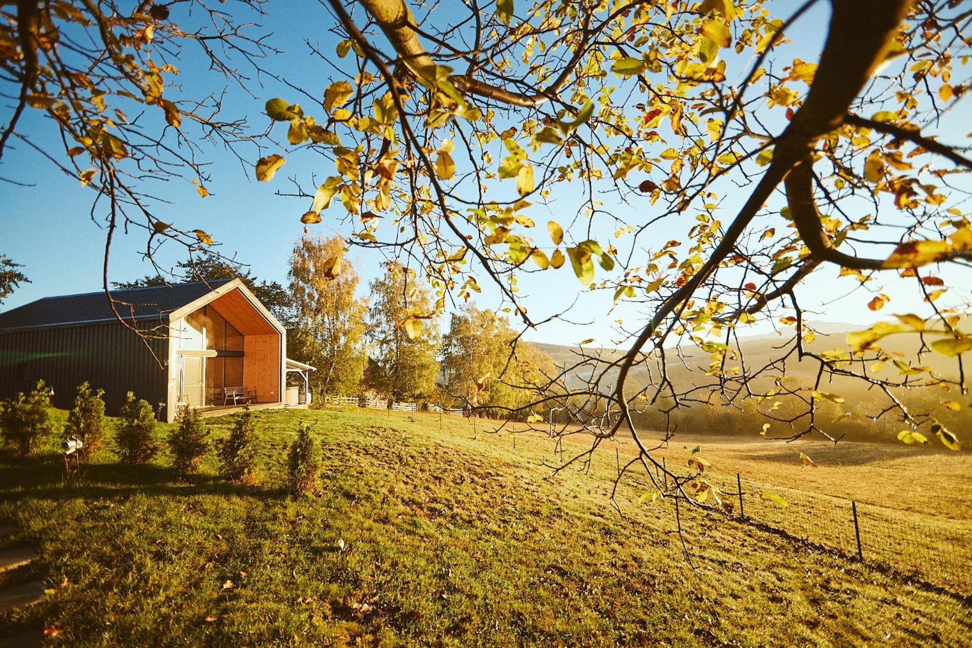 Scandinave Chalet Bran Zărneşti Dış mekan fotoğraf
