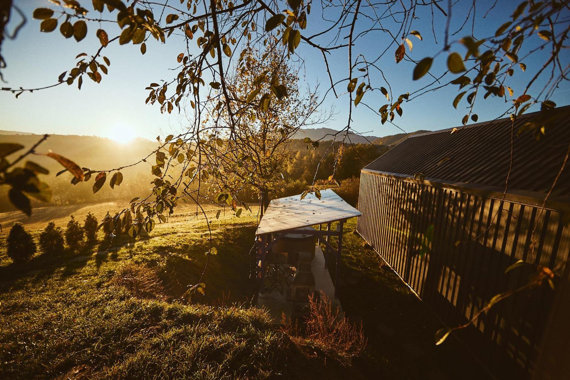 Scandinave Chalet Bran Zărneşti Dış mekan fotoğraf