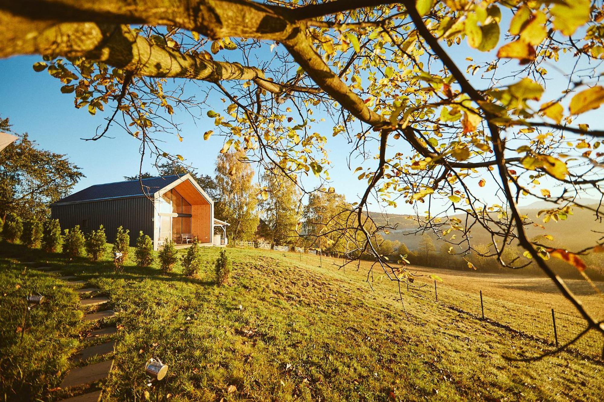 Scandinave Chalet Bran Zărneşti Dış mekan fotoğraf