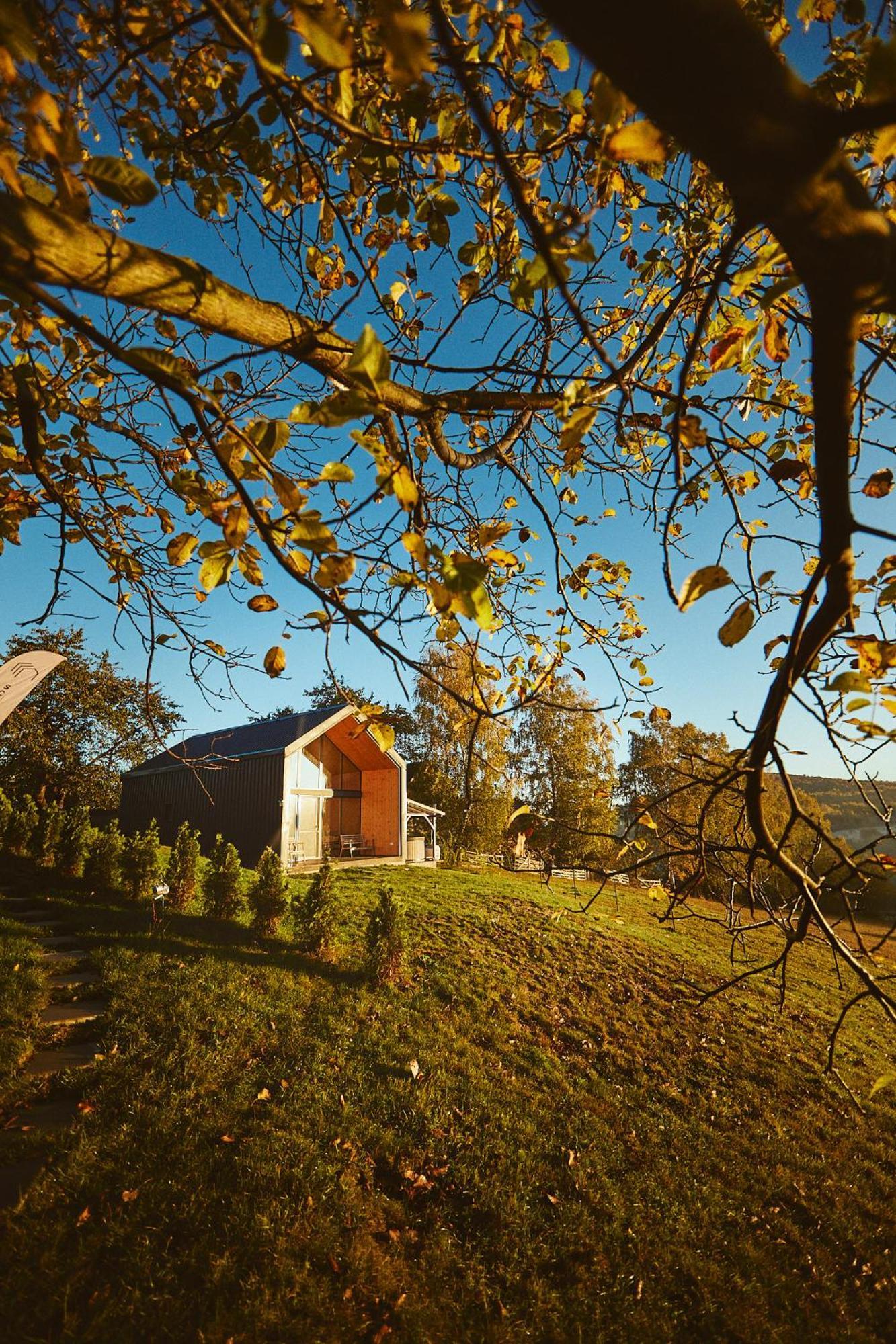 Scandinave Chalet Bran Zărneşti Dış mekan fotoğraf
