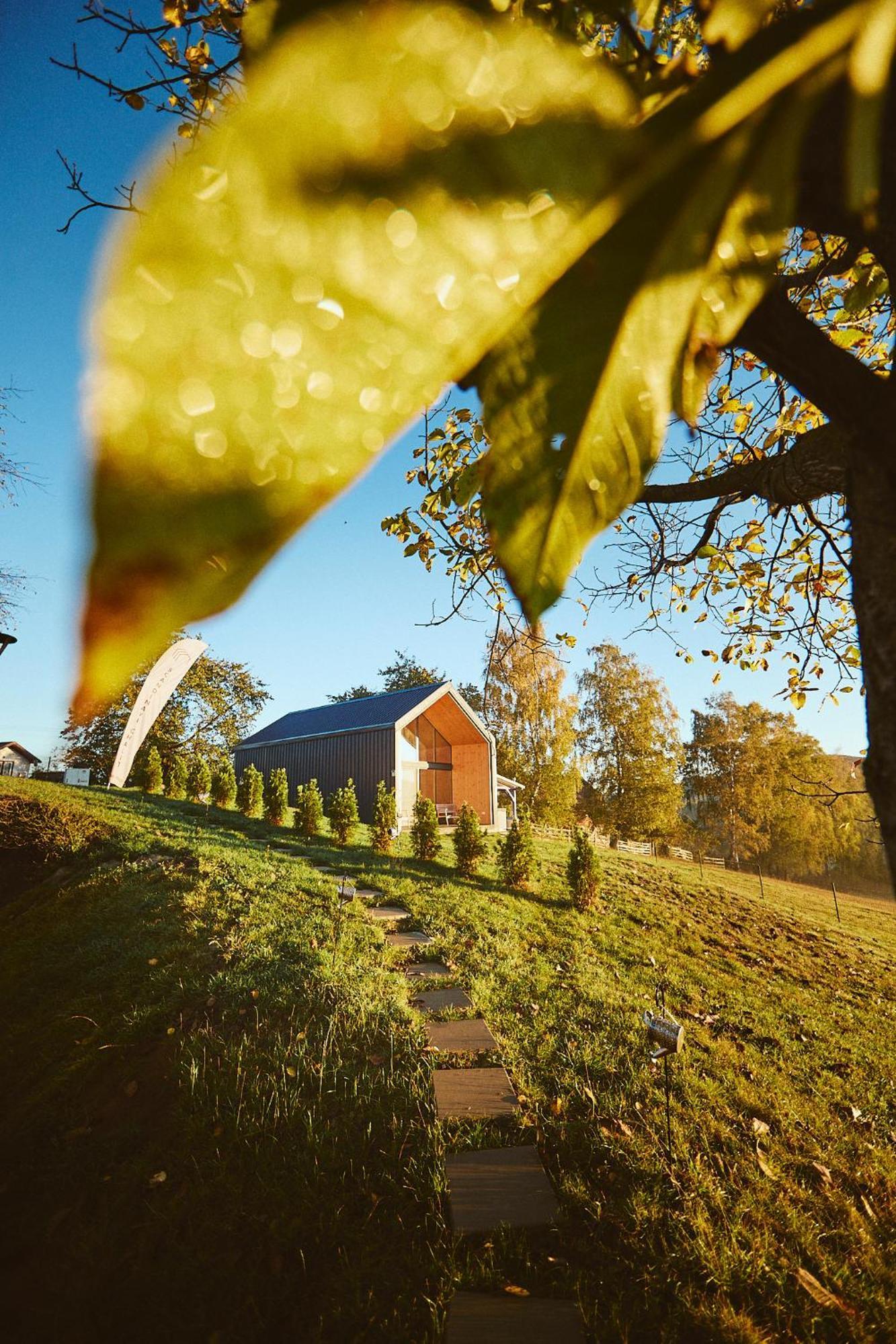 Scandinave Chalet Bran Zărneşti Dış mekan fotoğraf