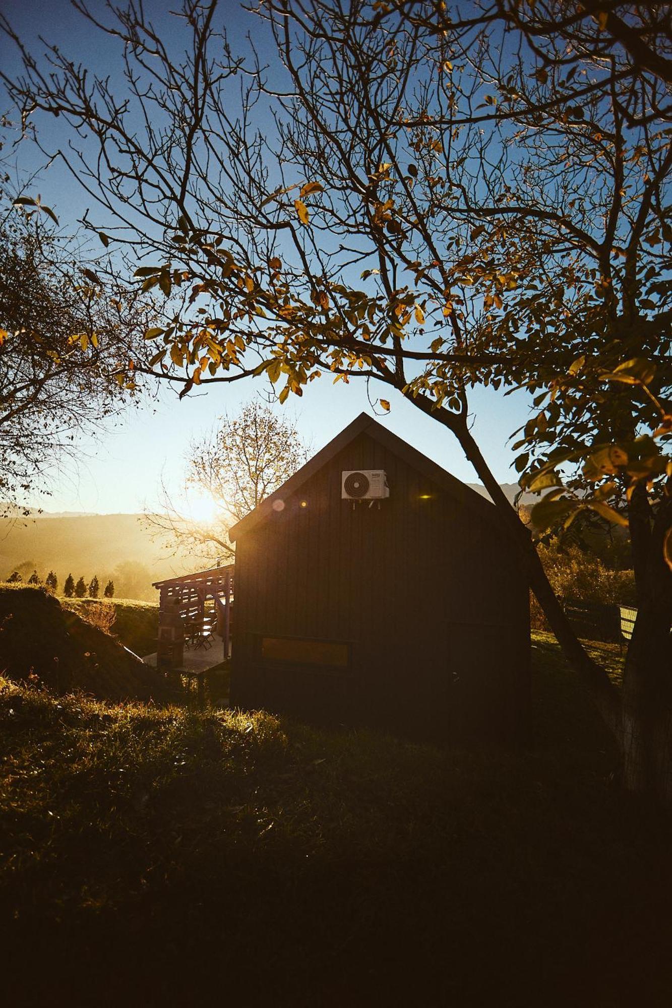 Scandinave Chalet Bran Zărneşti Dış mekan fotoğraf
