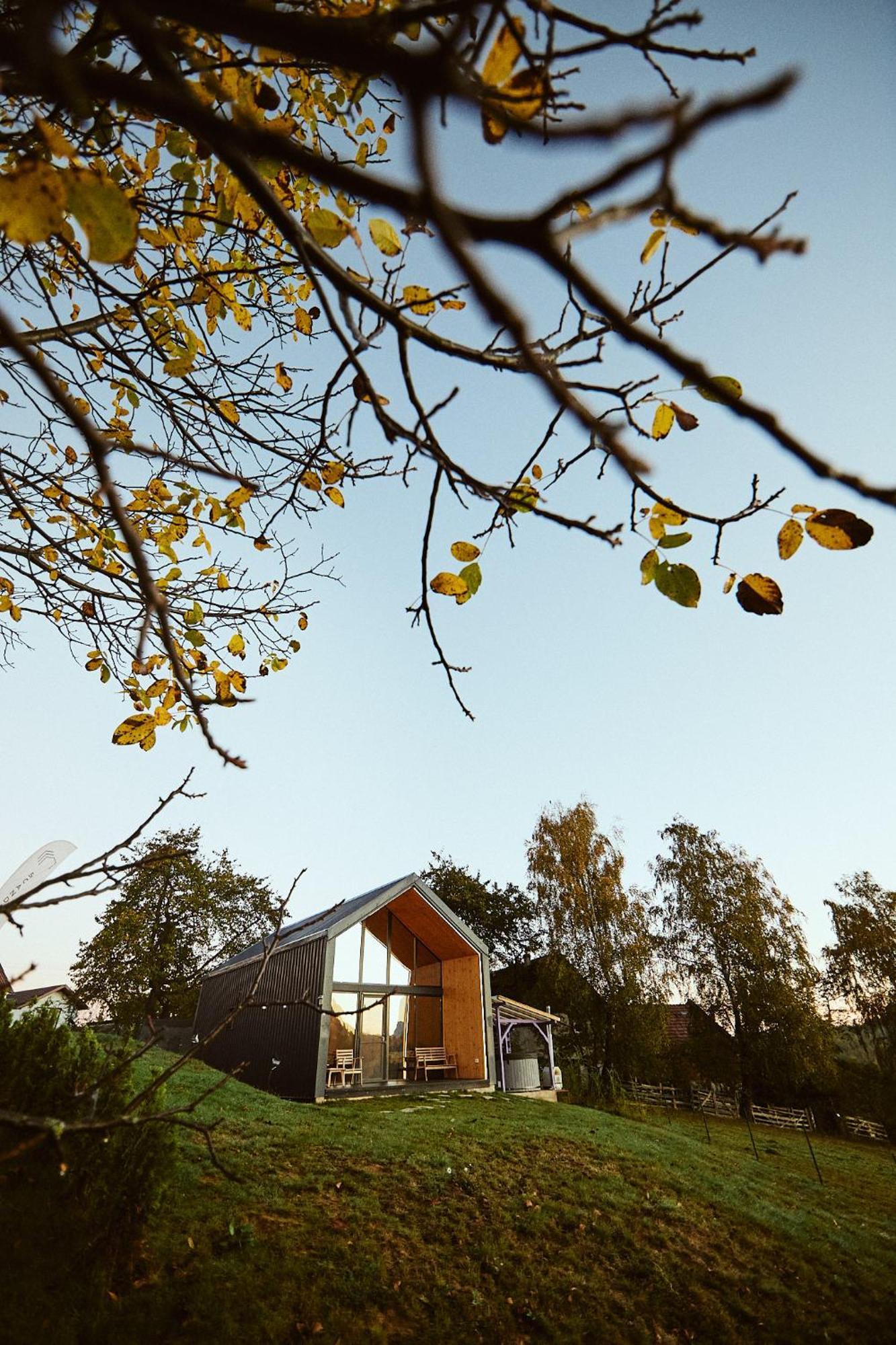 Scandinave Chalet Bran Zărneşti Dış mekan fotoğraf